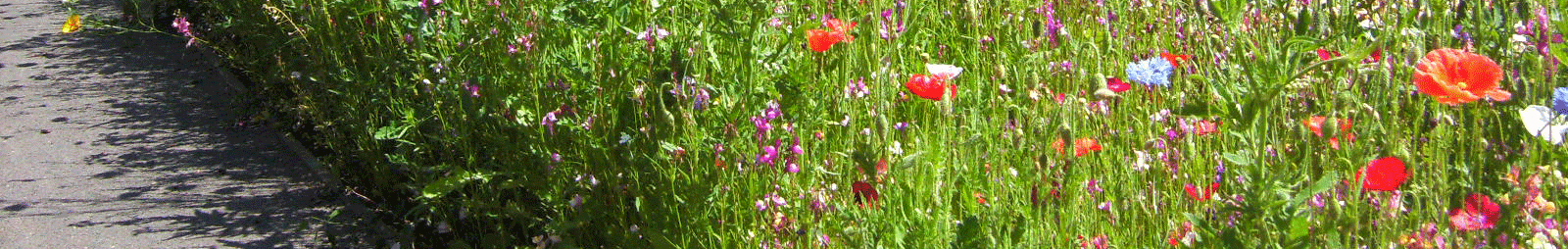 gardens