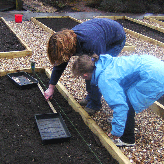 volunteers